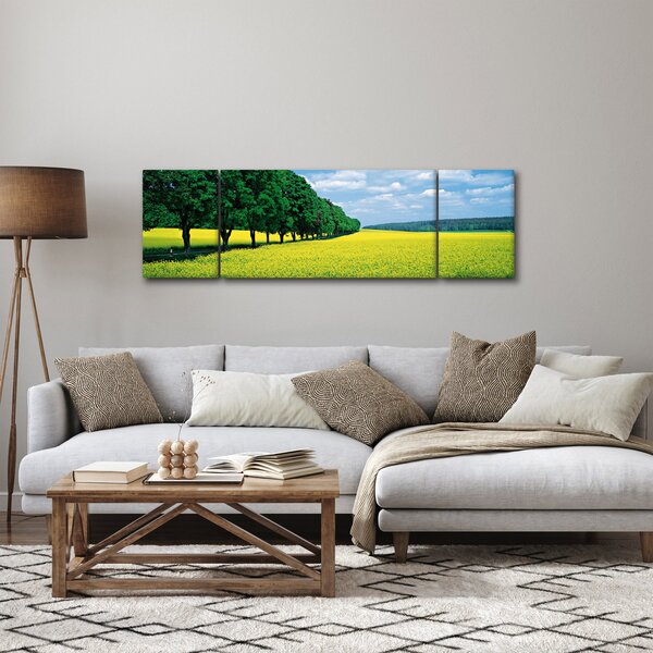 Obraz pole s alejí (170x50 cm)