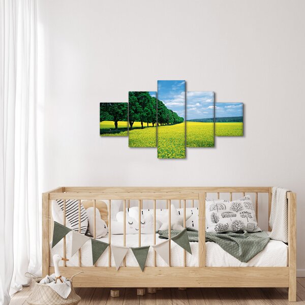 Obraz pole s alejí (125x70 cm)