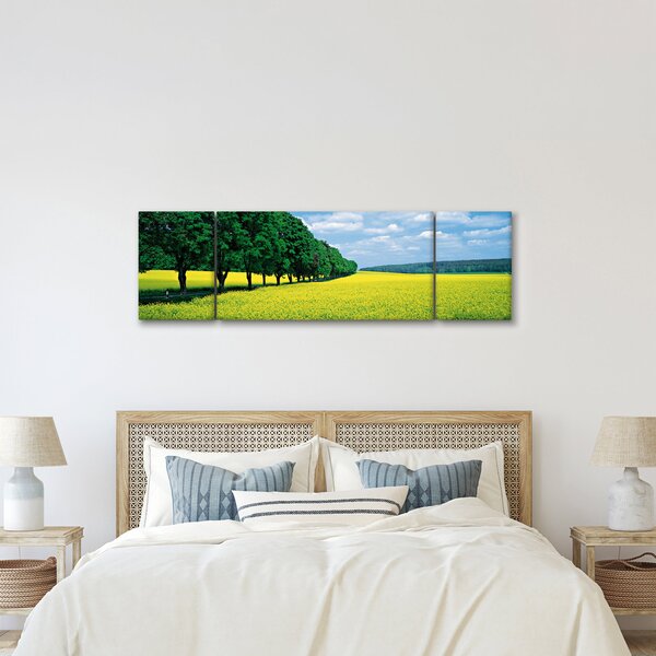 Obraz pole s alejí (170x50 cm)