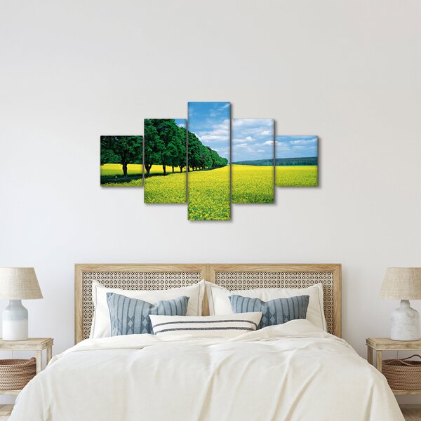 Obraz pole s alejí (125x70 cm)