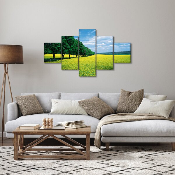 Obraz pole s alejí (125x70 cm)