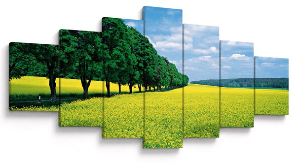 Obraz pole s alejí (210x100 cm)
