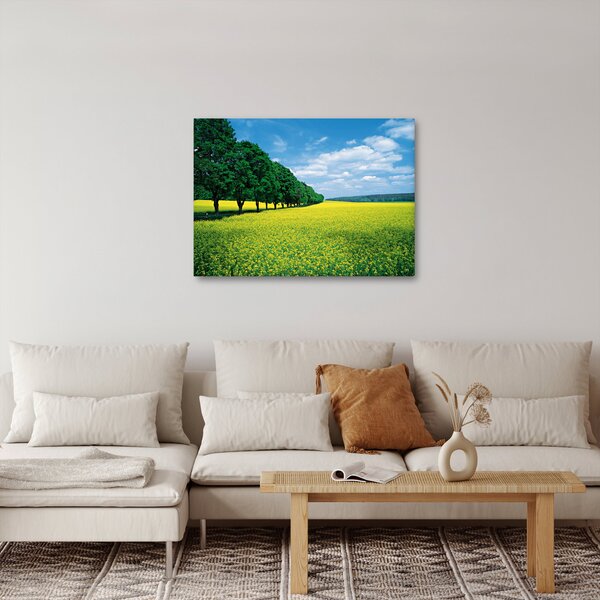 Obraz pole s alejí (70x50 cm)