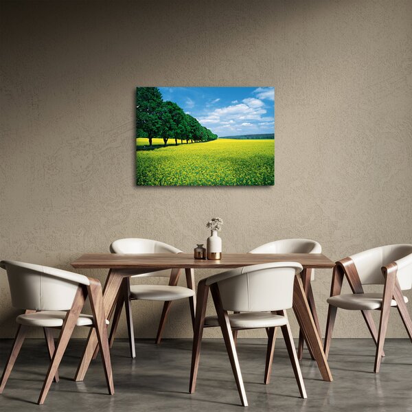 Obraz pole s alejí (70x50 cm)