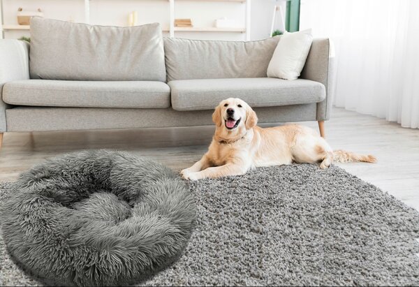 POLŠTÁŘ PRO MAZLÍČKY, 50 cm Esposa - Podsedáky na židle