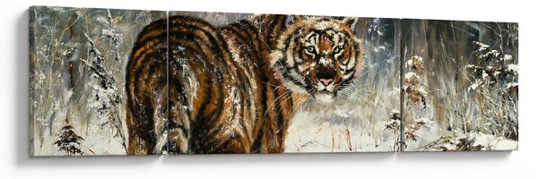 Obraz - Tygr v zasněženém lese, olejomalba (170x50 cm)