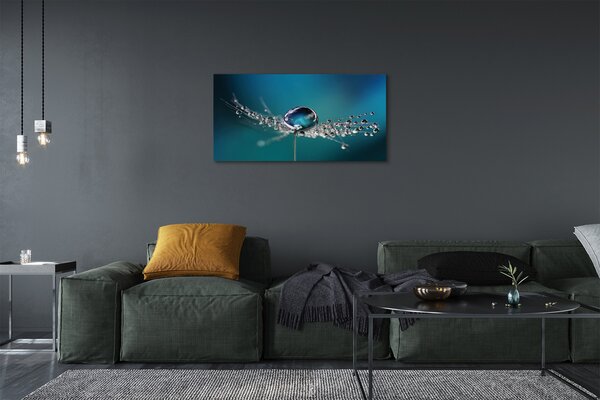 Obrazy na plátně Kapky makro pampeliška 100x50 cm