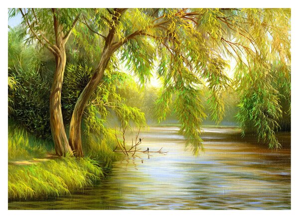 Obraz - Vrba u jezera, olejomalba (70x50 cm)