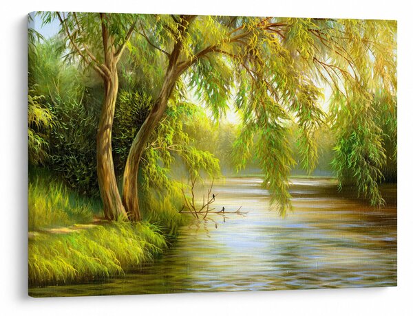 Obraz - Vrba u jezera, olejomalba (70x50 cm)
