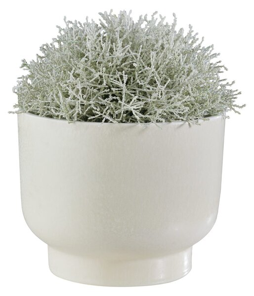 PLANT BOWL Květináč 26 cm - bílá