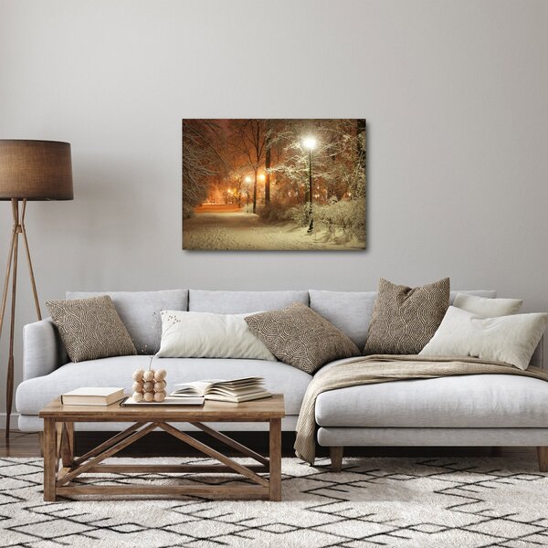 Obraz - Zasněžený park (70x50 cm)
