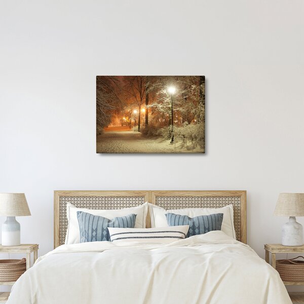 Obraz - Zasněžený park (70x50 cm)