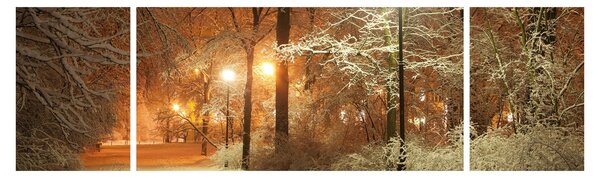 Obraz - Zasněžený park (170x50 cm)
