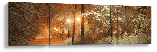 Obraz - Zasněžený park (170x50 cm)