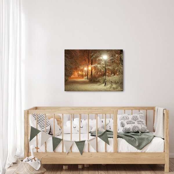 Obraz - Zasněžený park (70x50 cm)