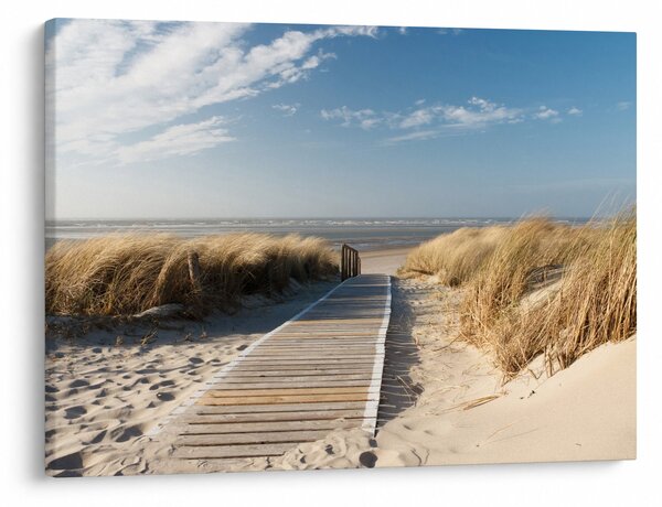 Obraz - Písečná pláž na ostrově Langeoog, Německo (70x50 cm)