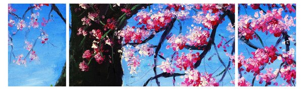 Obraz malované rozkvetlé třešně (170x50 cm)