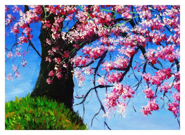 Obraz malované rozkvetlé třešně (70x50 cm)