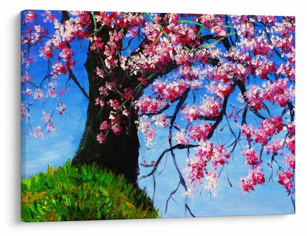 Obraz malované rozkvetlé třešně (70x50 cm)