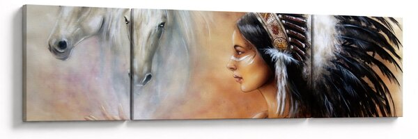 Obraz - Kouzla indiánů (170x50 cm)