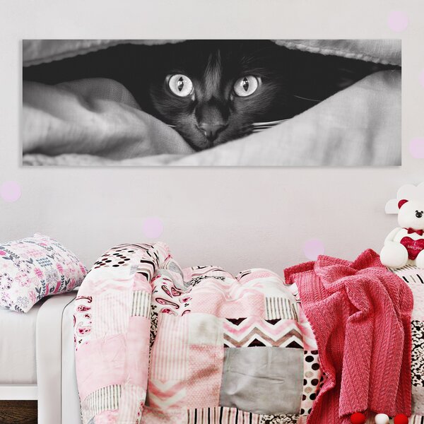 Obraz na plátně - Najdi kočku, kočka v bílé přikrývce FeelHappy.cz Rozměr obrazu (Šířka x Výška): 120 x 40 cm