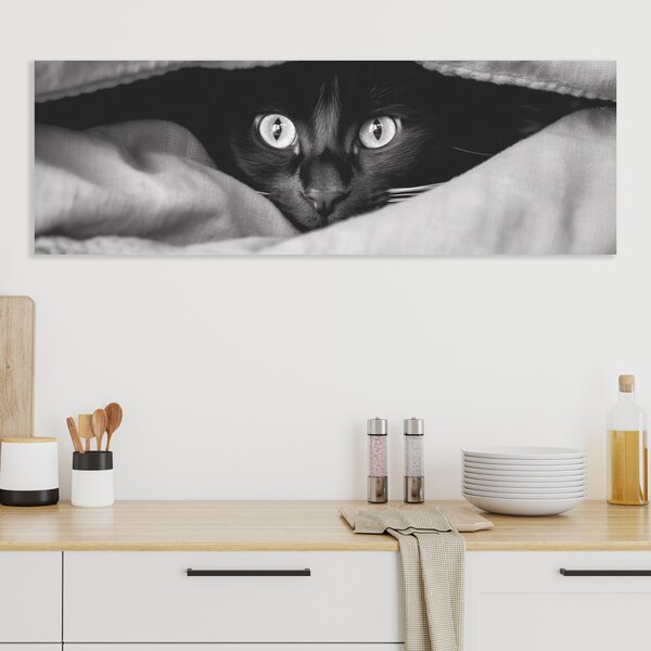 Obraz na plátně - Najdi kočku, kočka v bílé přikrývce FeelHappy.cz Rozměr obrazu (Šířka x Výška): 120 x 40 cm