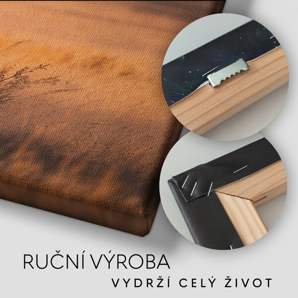 Obraz na plátně - Stádo divokých koní, zlatý západ slunce FeelHappy.cz Rozměr obrazu (Šířka x Výška): 60 x 20 cm