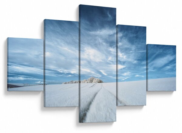 Obraz pole (125x70 cm)