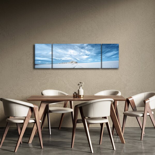 Obraz pole (170x50 cm)