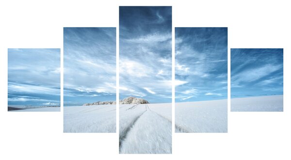 Obraz pole (125x70 cm)