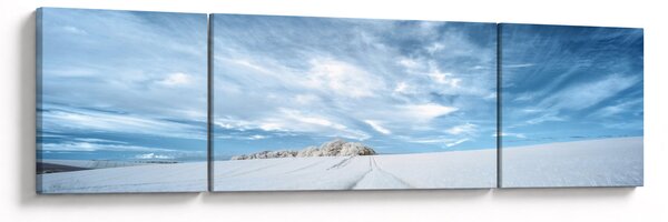 Obraz pole (170x50 cm)