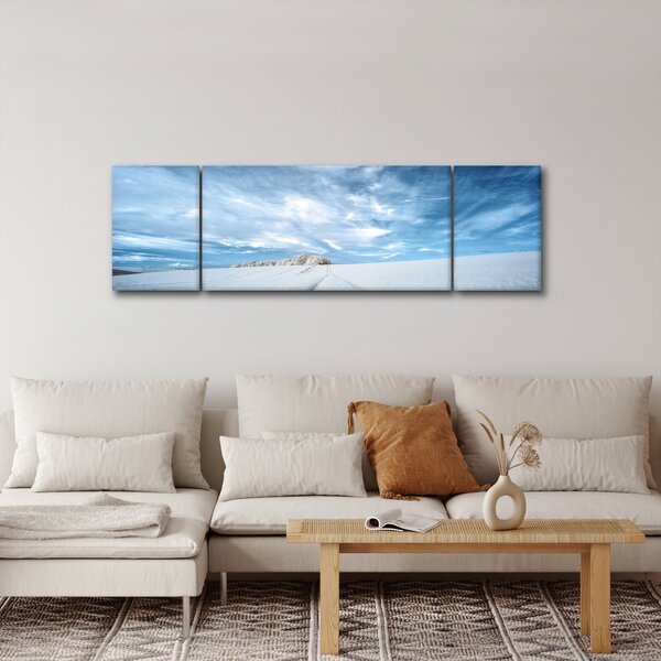 Obraz pole (170x50 cm)