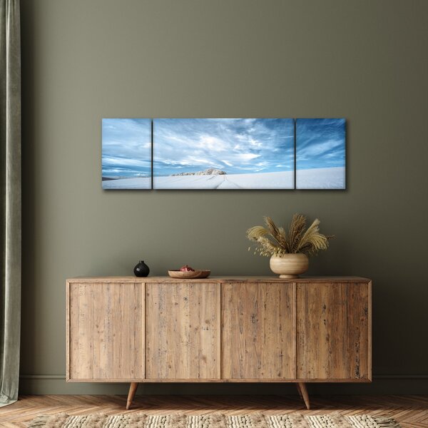 Obraz pole (170x50 cm)
