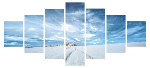 Obraz pole (210x100 cm)