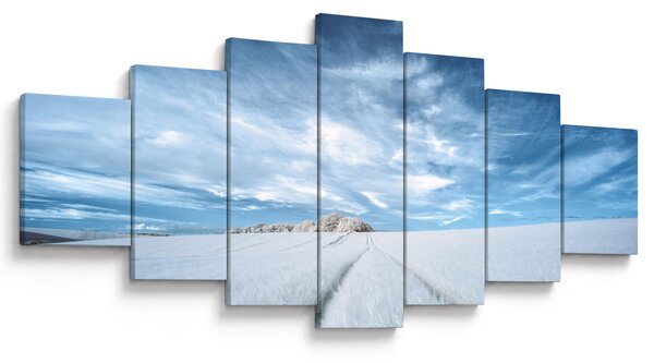 Obraz pole (210x100 cm)