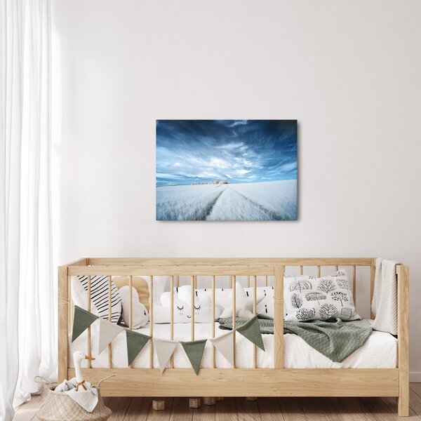 Obraz pole (70x50 cm)