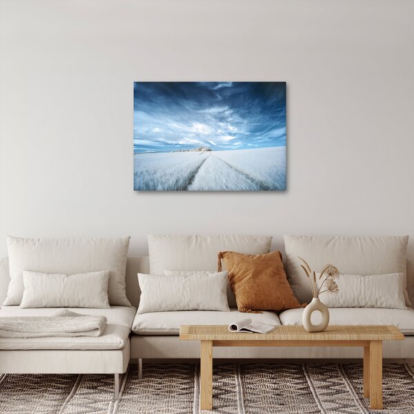 Obraz pole (70x50 cm)