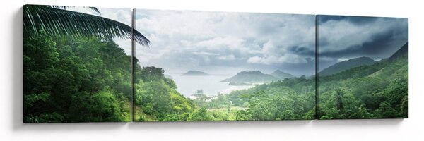 Obraz - Seychelská jungle (170x50 cm)
