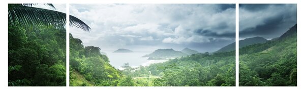 Obraz - Seychelská jungle (170x50 cm)