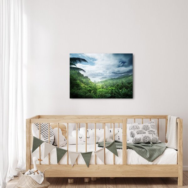 Obraz - Seychelská jungle (70x50 cm)