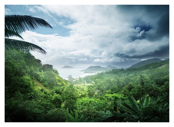 Obraz - Seychelská jungle (70x50 cm)