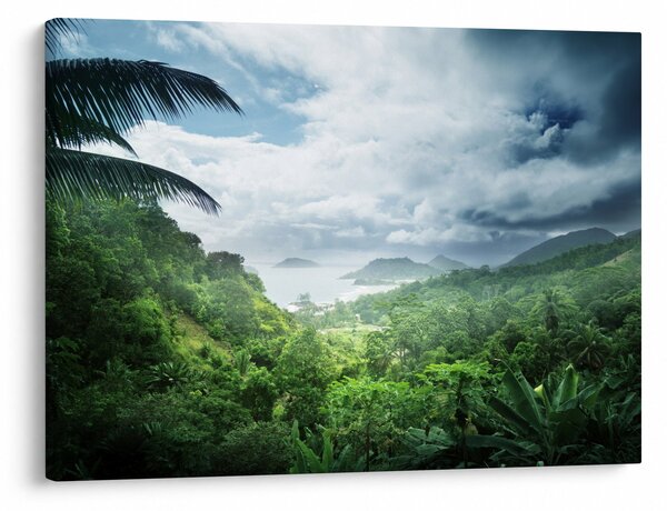 Obraz - Seychelská jungle (70x50 cm)