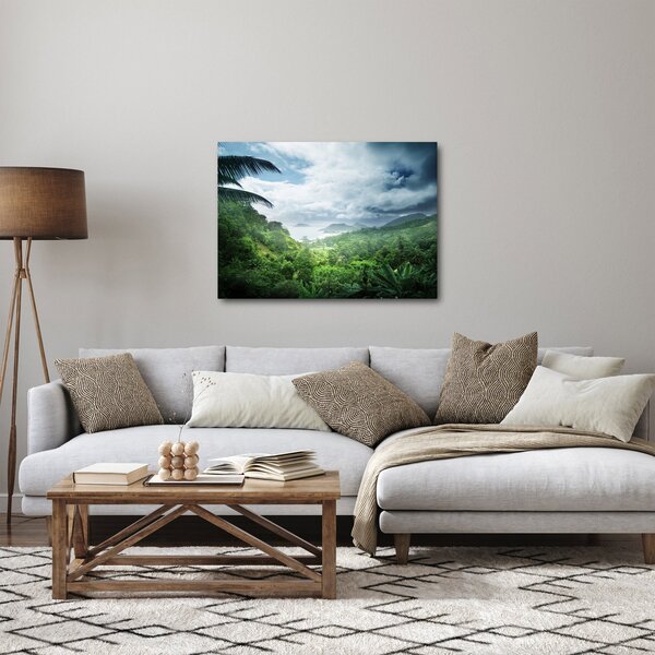 Obraz - Seychelská jungle (70x50 cm)