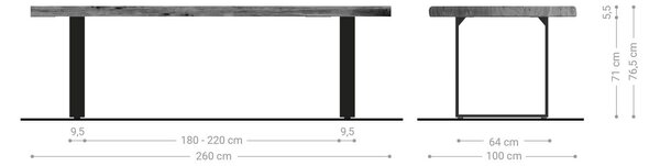 DELIFE Jídelní stůl Edge 260×100 XL akácie platinová nerezová ocel úzký Live-Edge