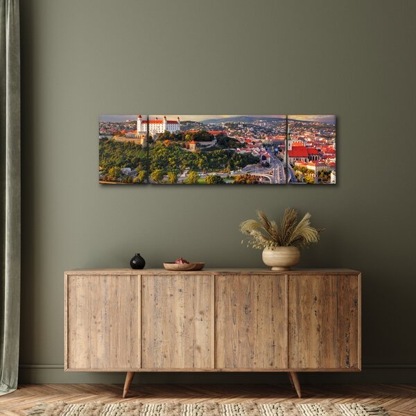 Obraz - Panorama Bratislavy, Slovensko (170x50 cm)