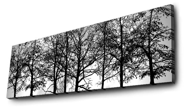 Wallity Obraz s LED osvětlením VĚTVE STROMŮ 72 30 x 90 cm