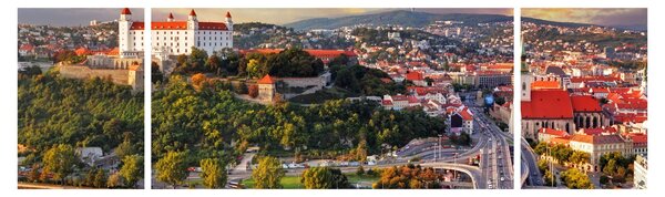 Obraz - Panorama Bratislavy, Slovensko (170x50 cm)
