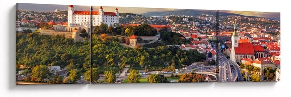 Obraz - Panorama Bratislavy, Slovensko (170x50 cm)