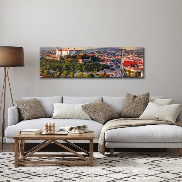 Obraz - Panorama Bratislavy, Slovensko (170x50 cm)