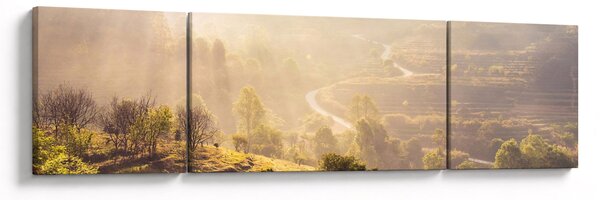 Obraz - Svítání (170x50 cm)
